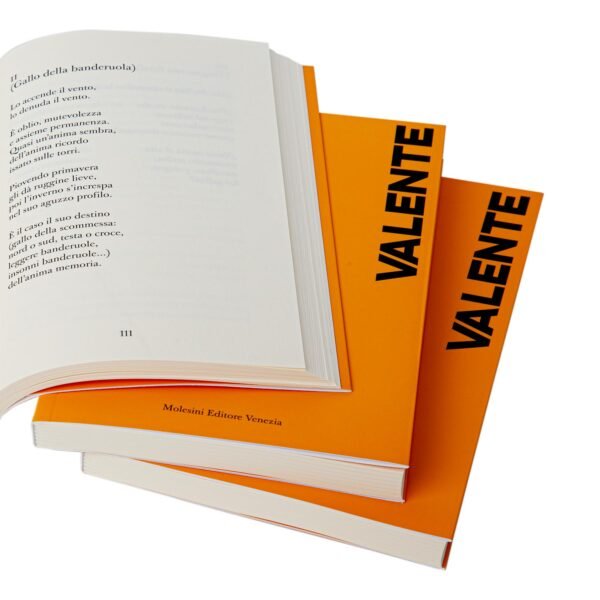 Poesie a Lazzaro José Ángel Valente Molesini Editore Venezia