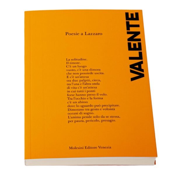 José Ángel Valente Poesie a Lazzaro Molesini Editore Venezia
